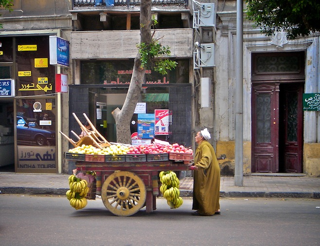 Alexandria3